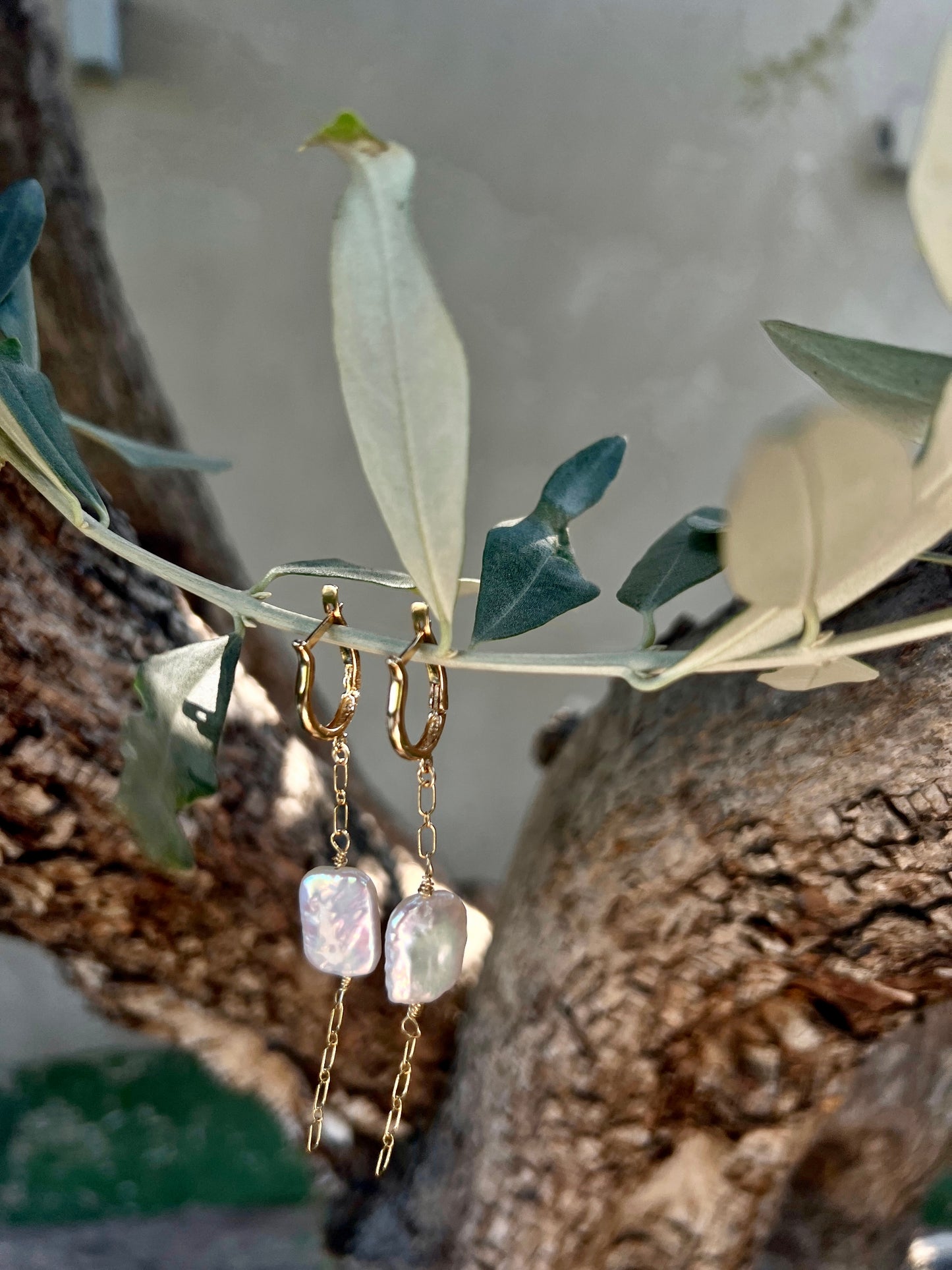 עגילי ״תום״ | "TOM" earring